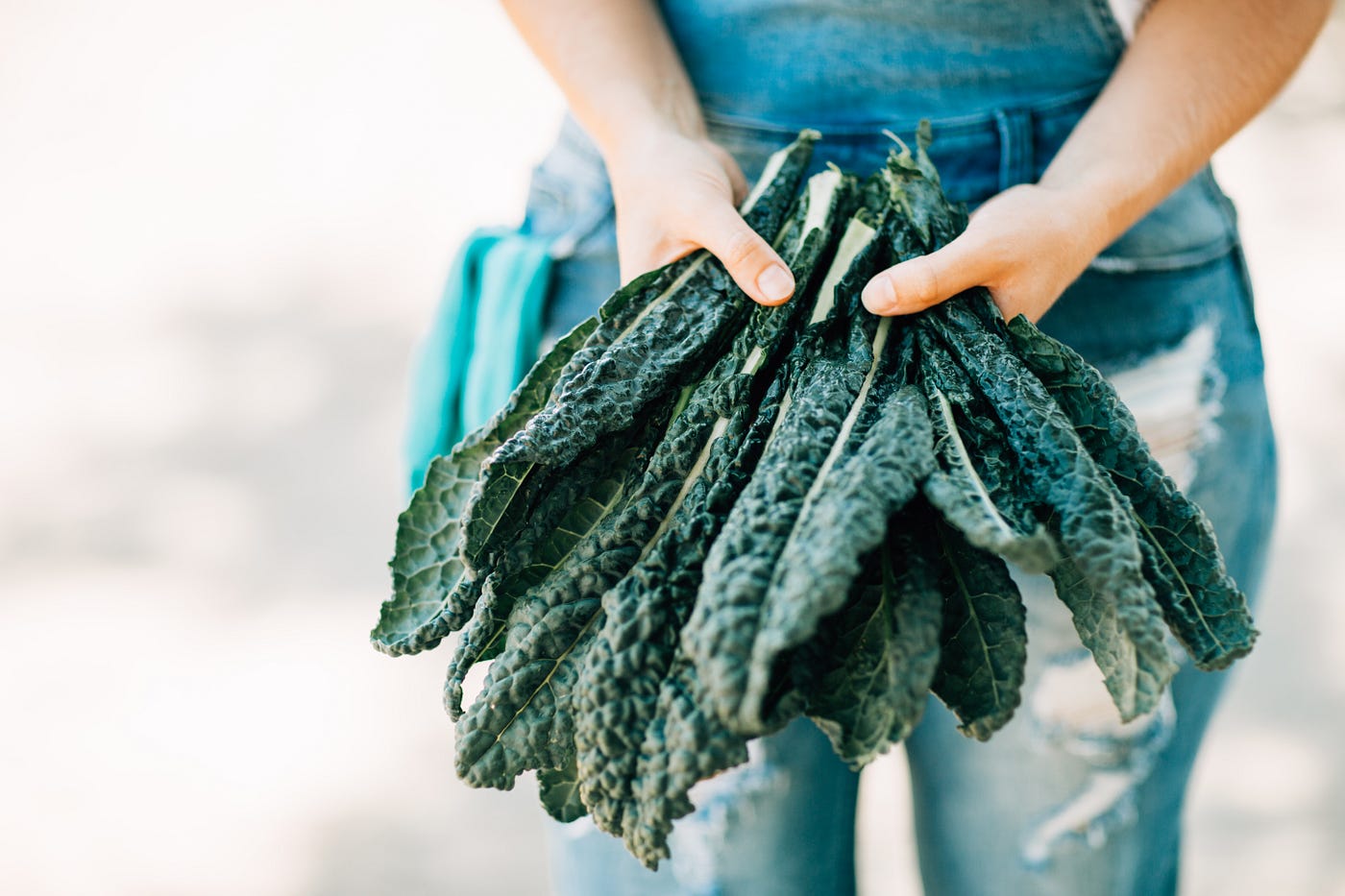 Too Much Kale? — Here's What To Do, by Eileen Wiedbrauk, Speak Coffee To  Me