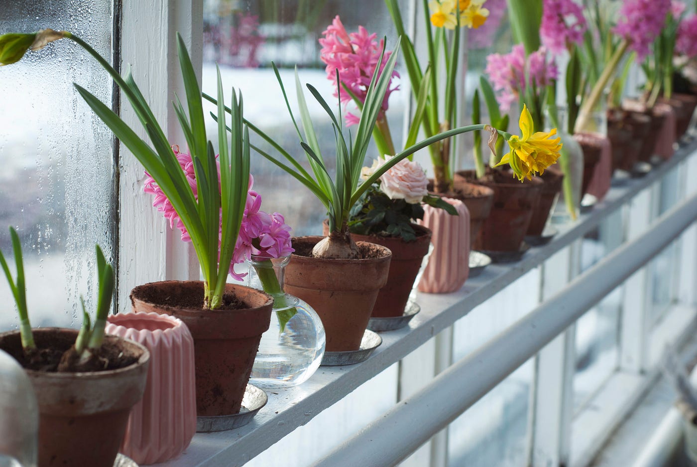 Stylish Plant Pots - Best Pots for House Plants