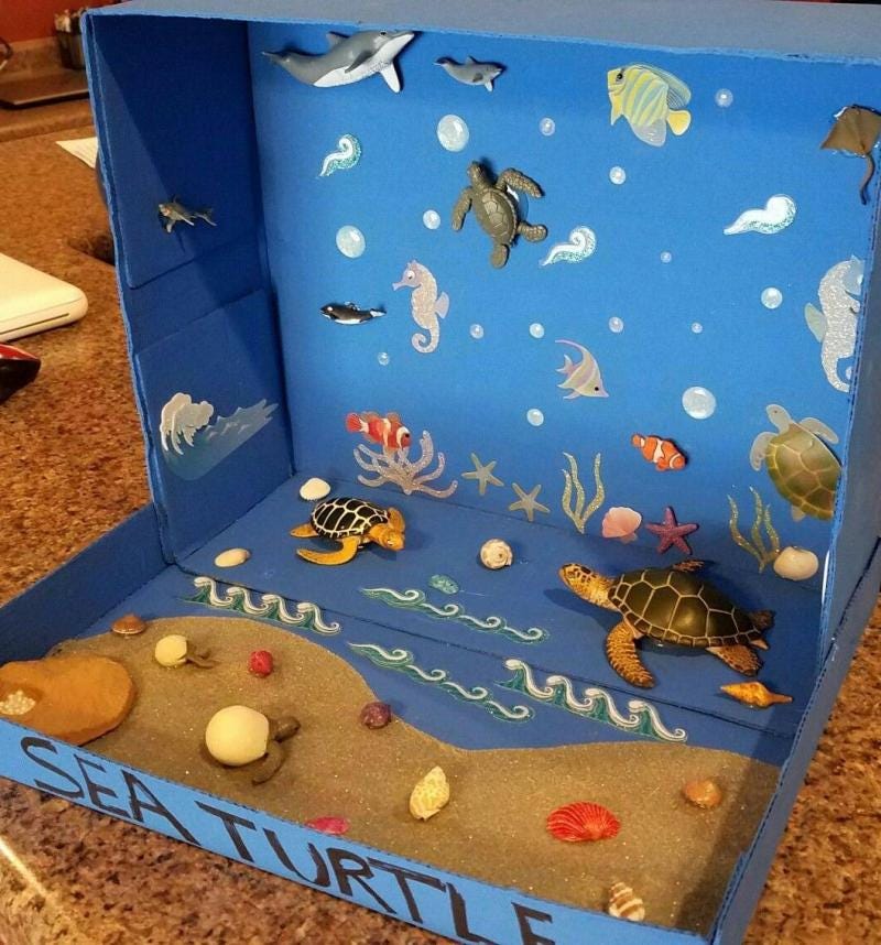 Art Project For Kids: How To Design A Diorama 