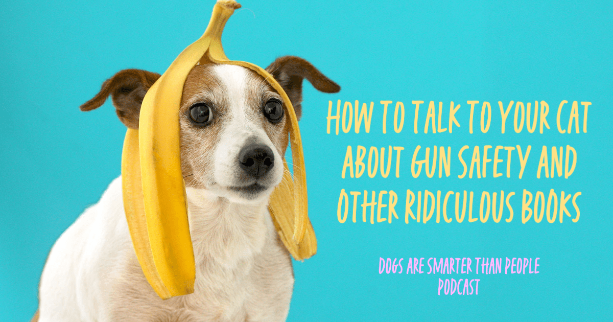 How To Talk To Your Cat About Gun Safety And Other Ridiculous Books, by  Carrie Jones
