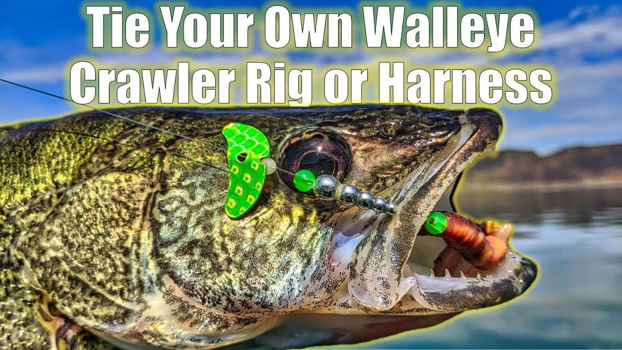 How to Make Walleye Rigs? A Complete Guide, by Anisha umar