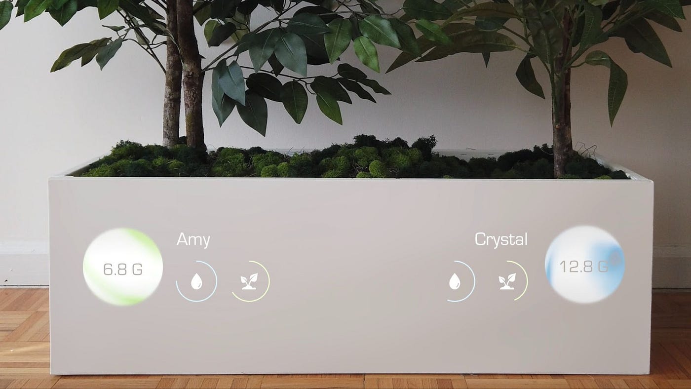 Plant-based data storage: Imagining a symbiosis between plants and data |  by The Design Amplifier | Bootcamp | Medium