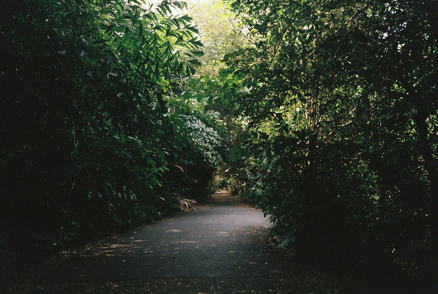 Photo by Natchamon P on Unsplash