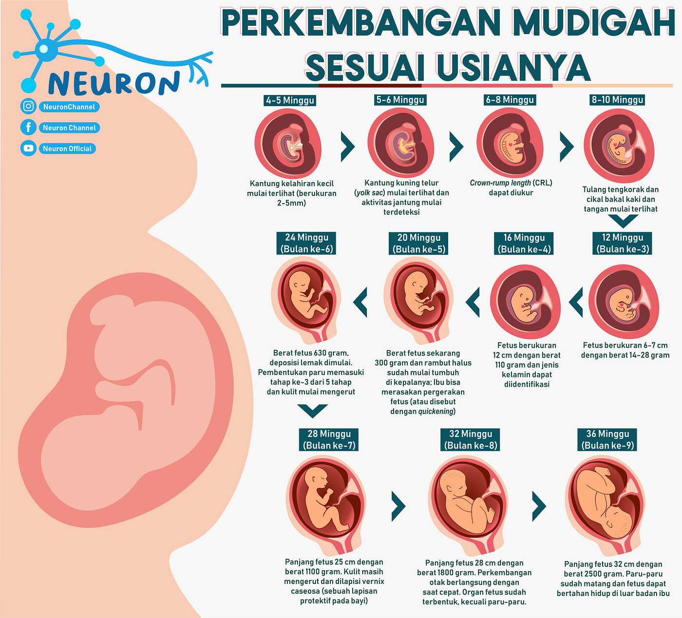 Letak Janin Di Perut Sebelah Mana