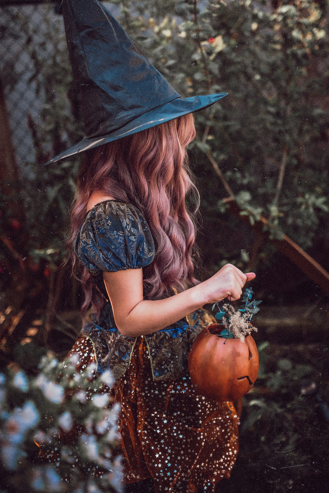 Photo by Paige Cody on Unsplash