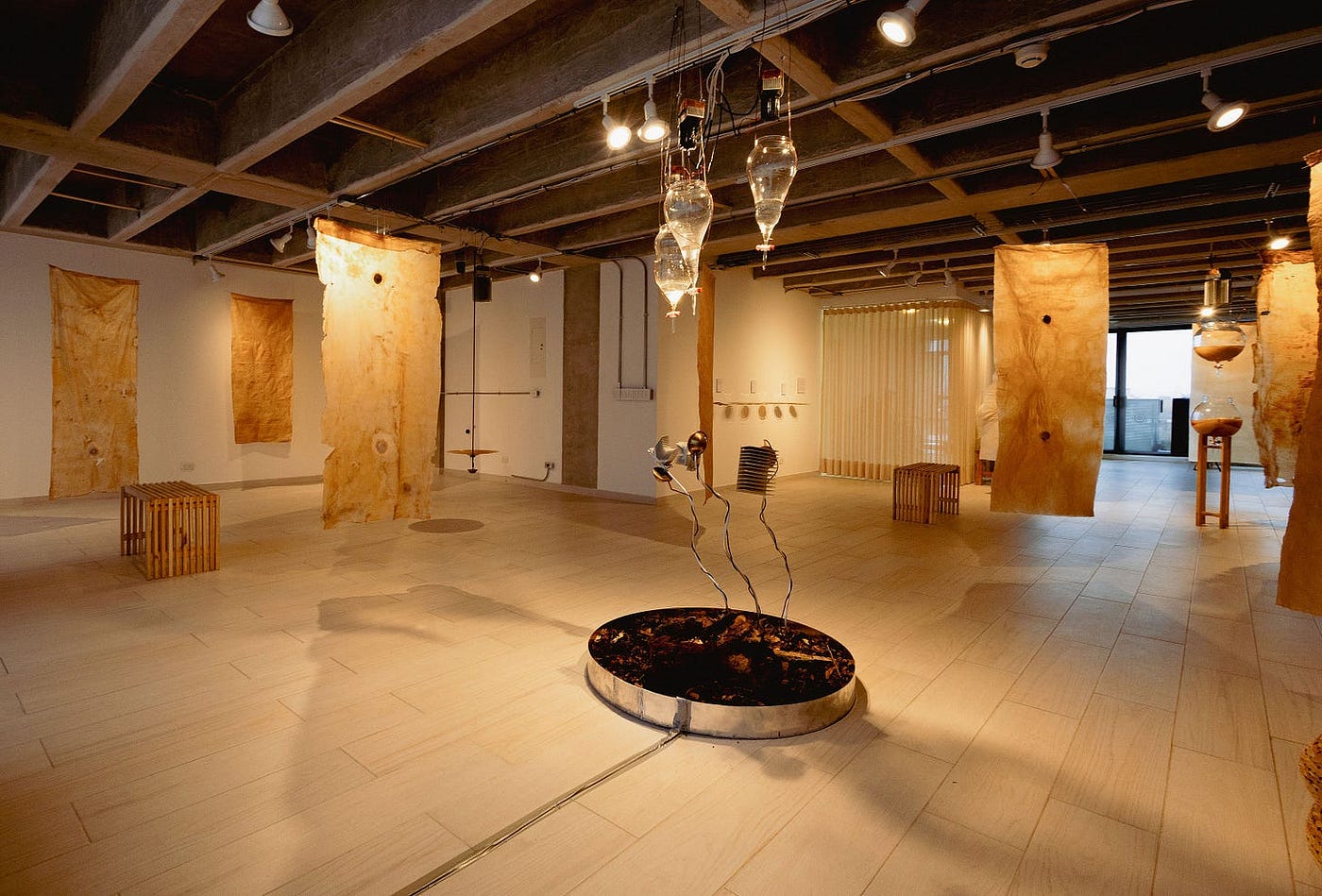 Image from the Invisible Worlds exhibition (credits: Rio Represent)