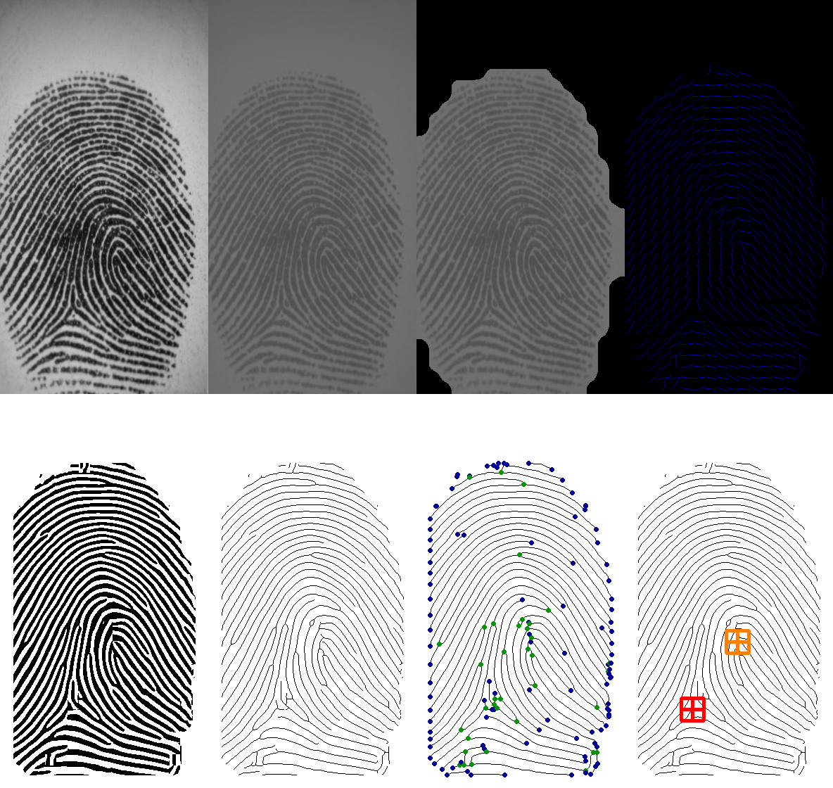 Fingerprint algorithm recognition | by Manuel Cuevas | Medium