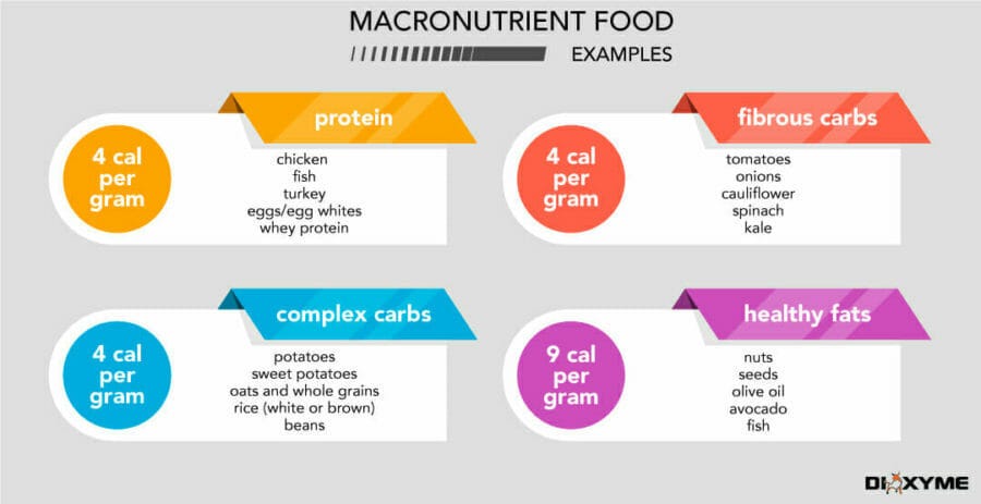 Bulking vs. Cutting: How to Do Each Successfully • Dioxyme