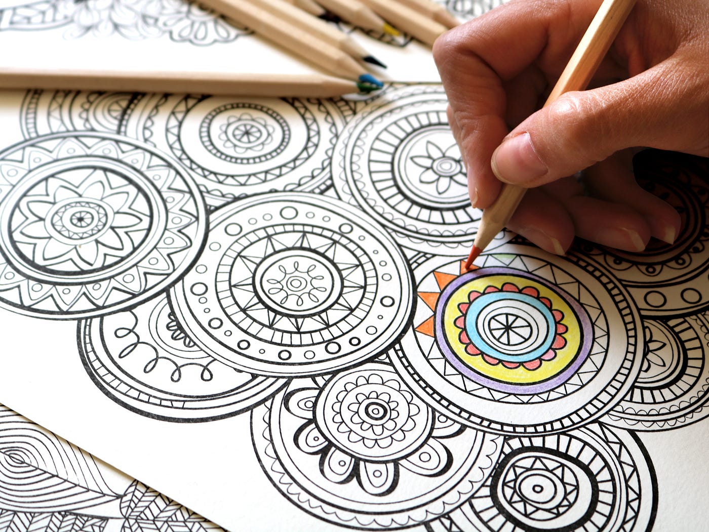 The 50 Best Adult Coloring Books to Relax, Laugh, and Unwind With ...