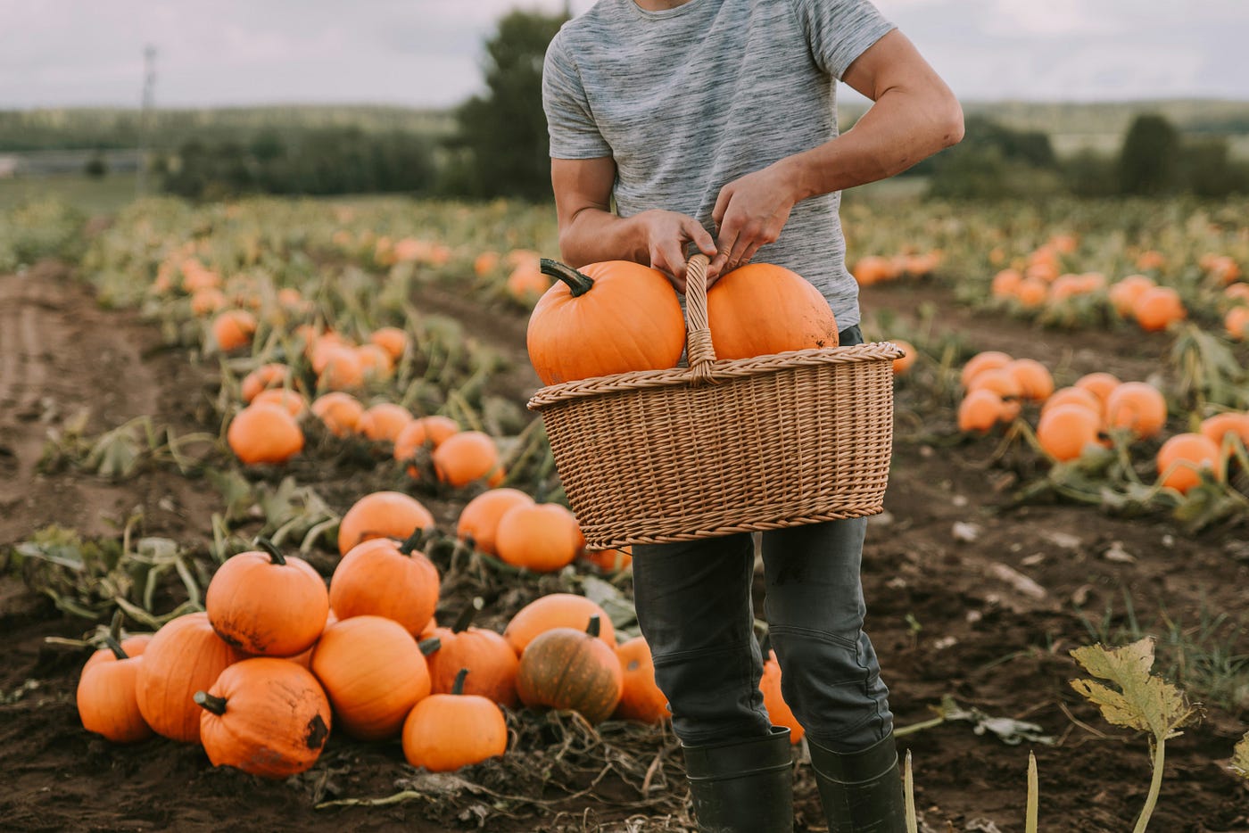 Someone’s getting excited about fall decor. Photo by Anita Austvika on Unsplash