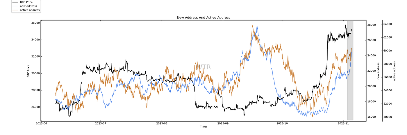 白露暖空，素月流天｜WTR 11.6