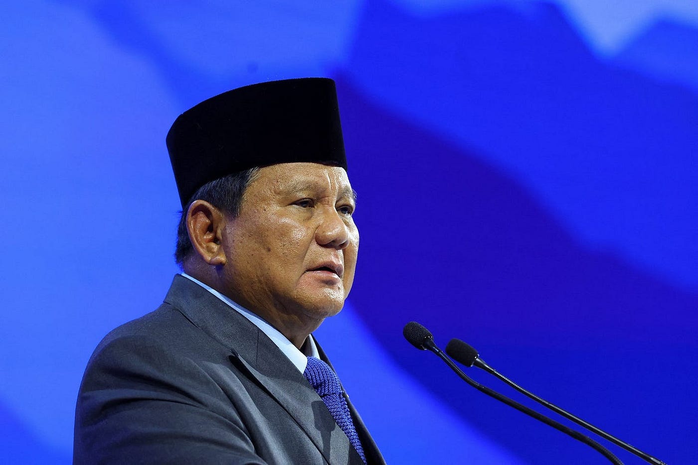 Indonesia to Go Ahead with B50 Biodiesel Mix This Year, President Says