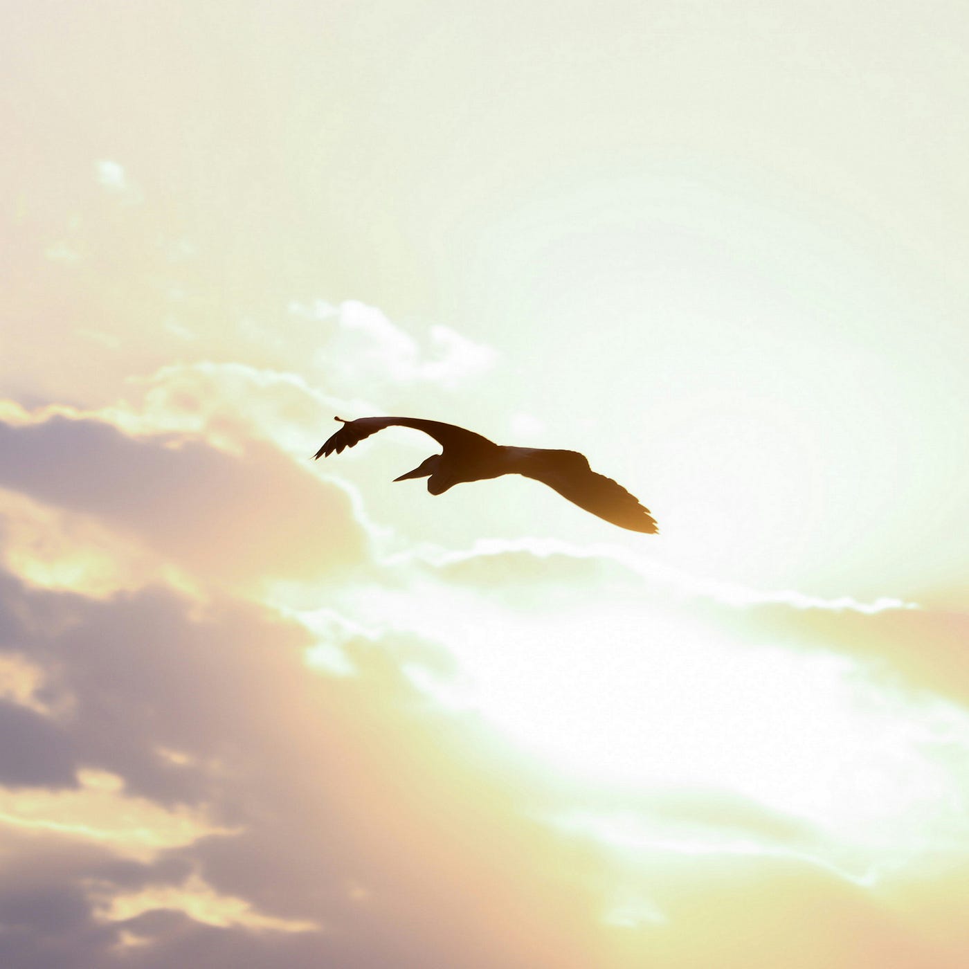 Photo by Benyamin shamis on Unsplash