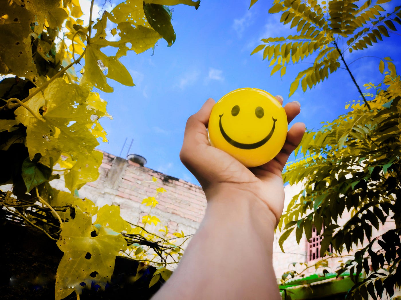 Why This Certain Smile Can Change Your Life - Changing how people view you  and how you view yourself
