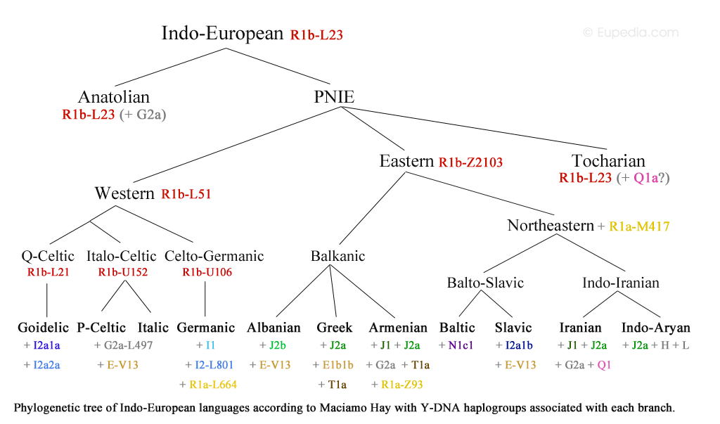Proto Indo European Language Chart