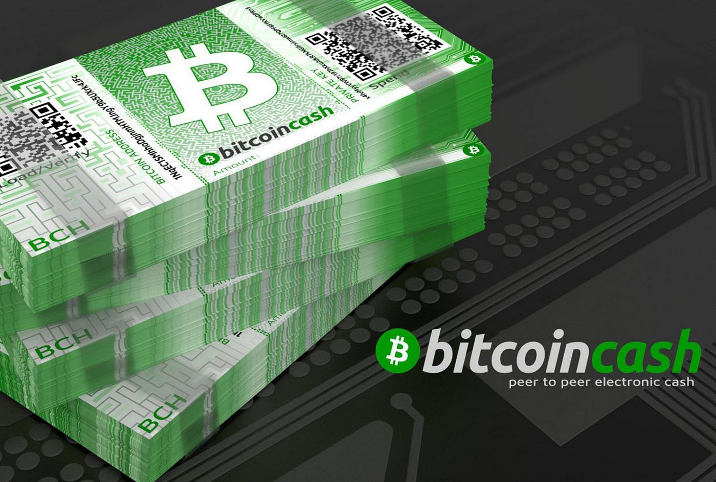 Bitcoin Cash Review 2020. What Is Bitcoin Cash? | by ChangeNOW.io | Medium