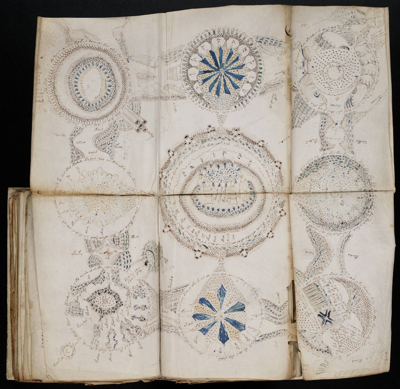 Unreadable & Bizarre: The Voynich Manuscript and Its Secrets | by