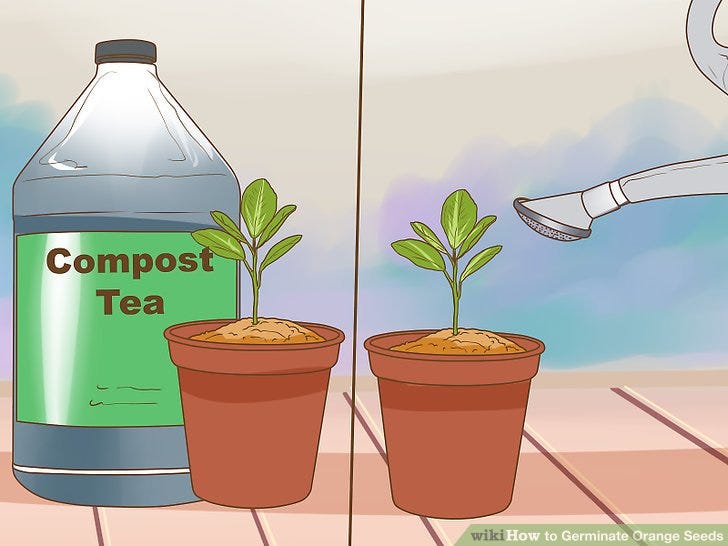 botanopia plant food Botanopia Plant Food – Blattmanufaktur main image 0