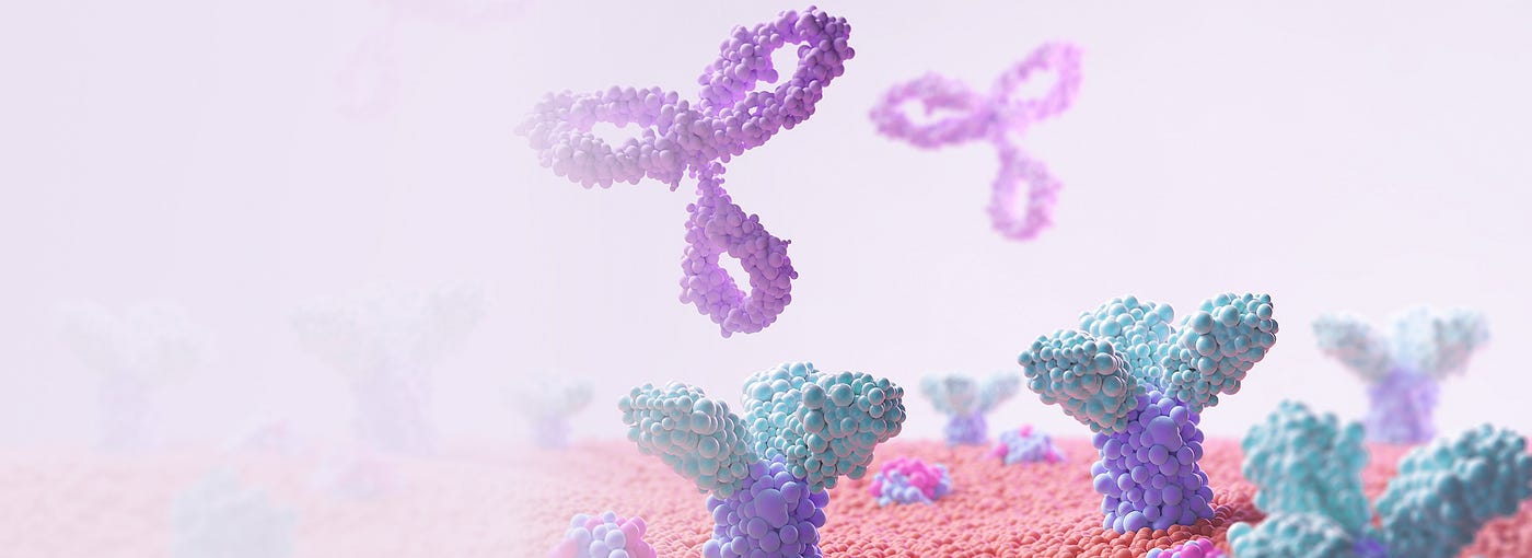 The Journey of a Molecule: Why ADME and DMPK Services are the Backbone of Drug Discovery