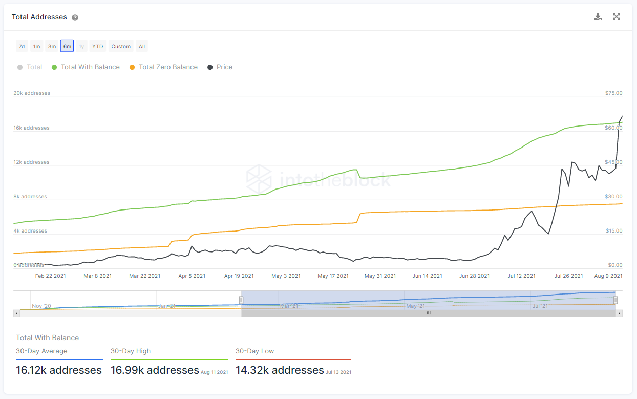 The on-chain analytics of Axie Infinity and AXS immense growth. | by Juan  Pellicer | Sentora | Medium