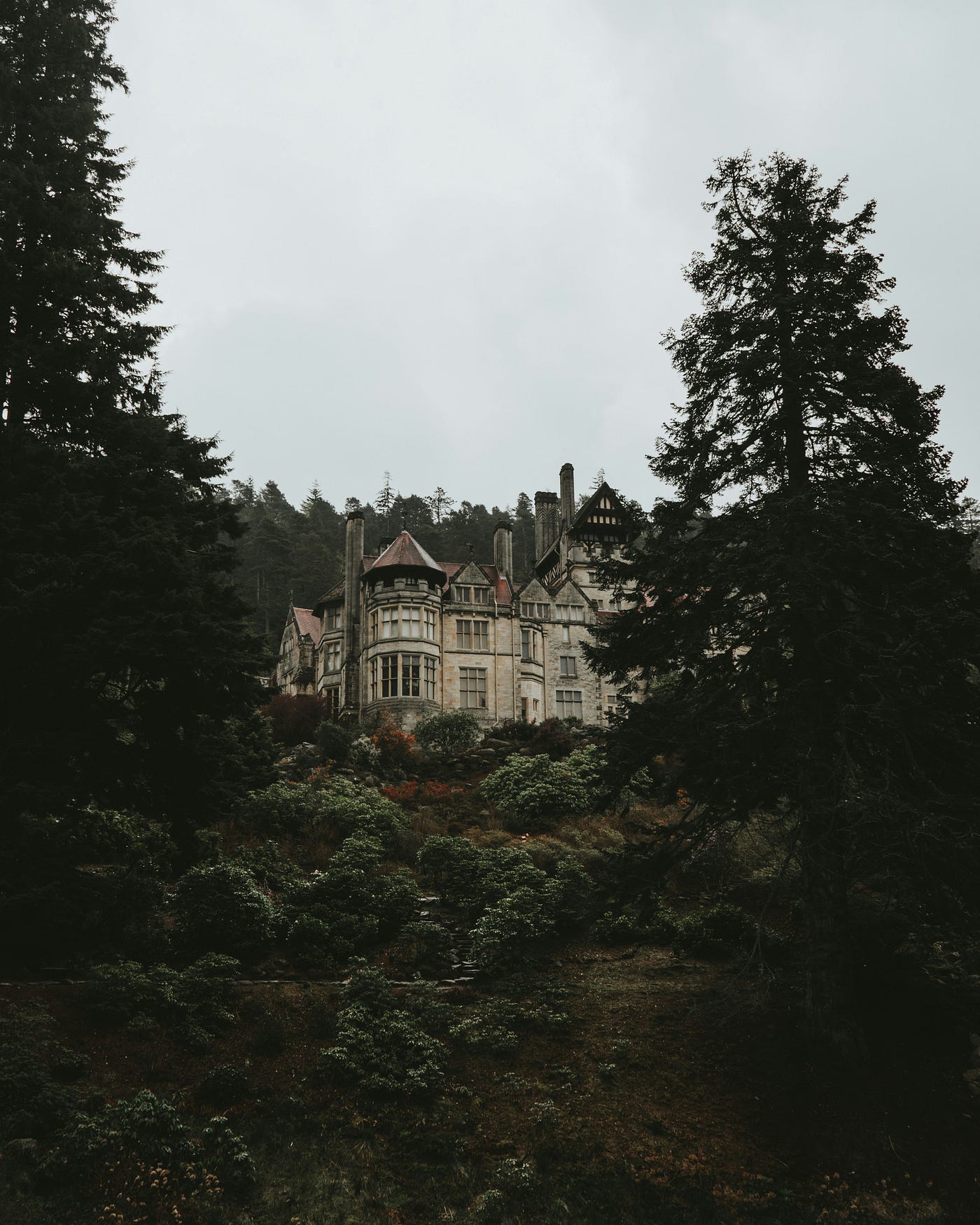 Photo by Nathan McDine on Unsplash