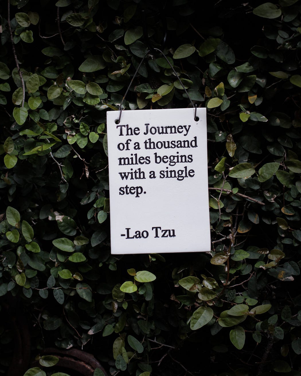 7 Tao Te Ching - Lao Tse (Lao Tzu)  Tao te ching book, Tao te ching, Lao  tzu taoism