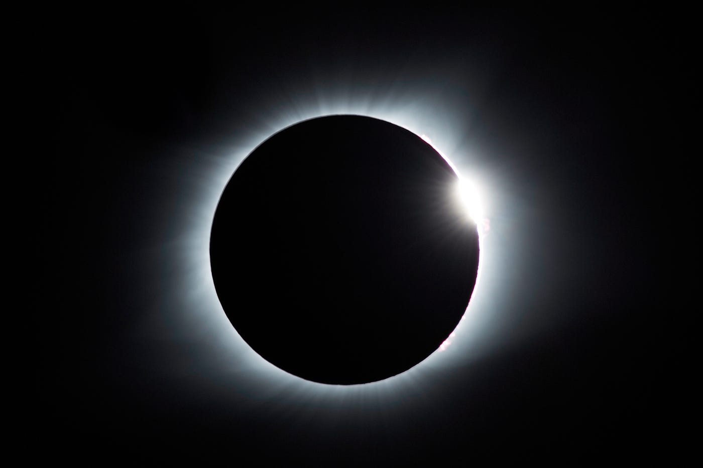 Photo by Mathew Schwartz on Unsplash