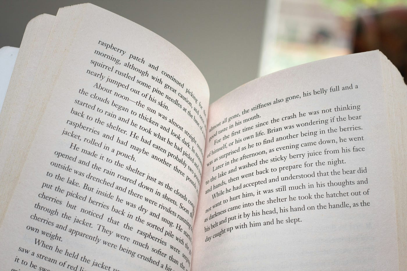 Photo by Sergio Arze on Unsplash