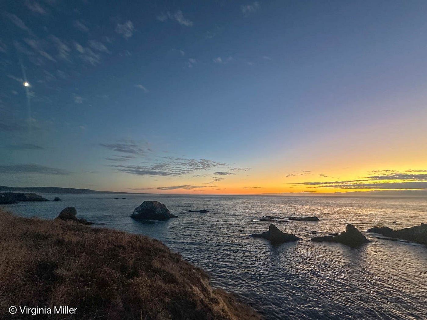 Mendocino’s Gifts to the World