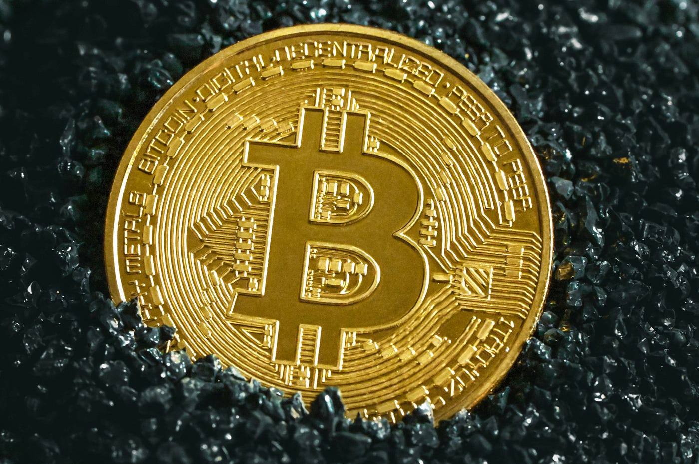 If You Had Invested $1000 in This Crypto in 2020 It Would Be Worth Over  $417,000 Today! | by Amarie | Nova Thinker | Medium