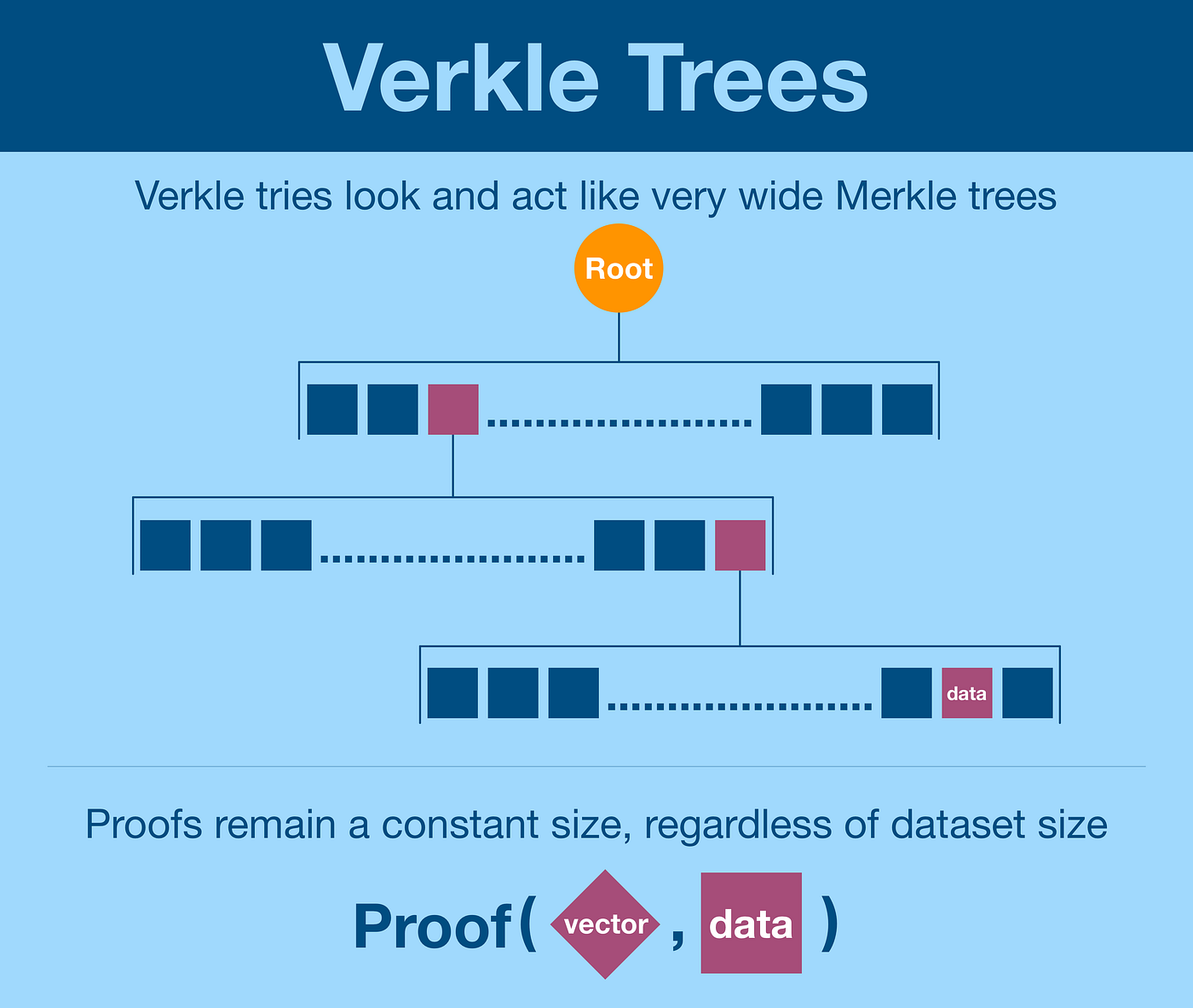 이더리움 Stateless] 4. 버클트리(Verkle Trie) 구조 알아보기 | by Sujine | Decipher Media  ｜디사이퍼 미디어 | Medium