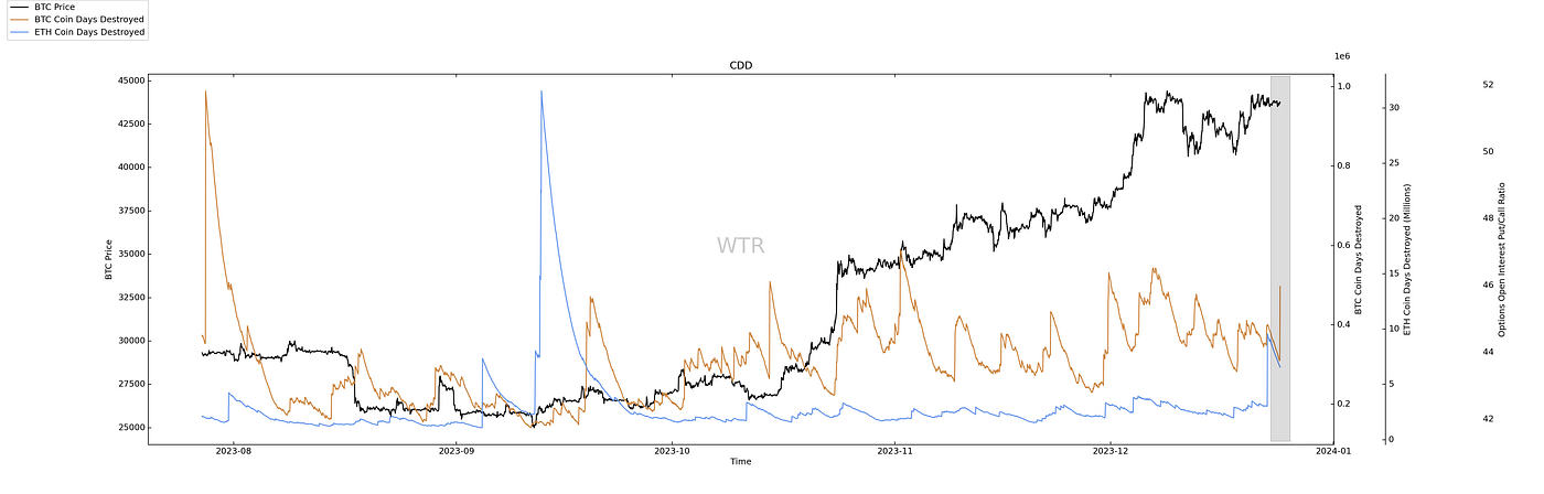意气峥嵘，风鹏正举｜WTR 12.25