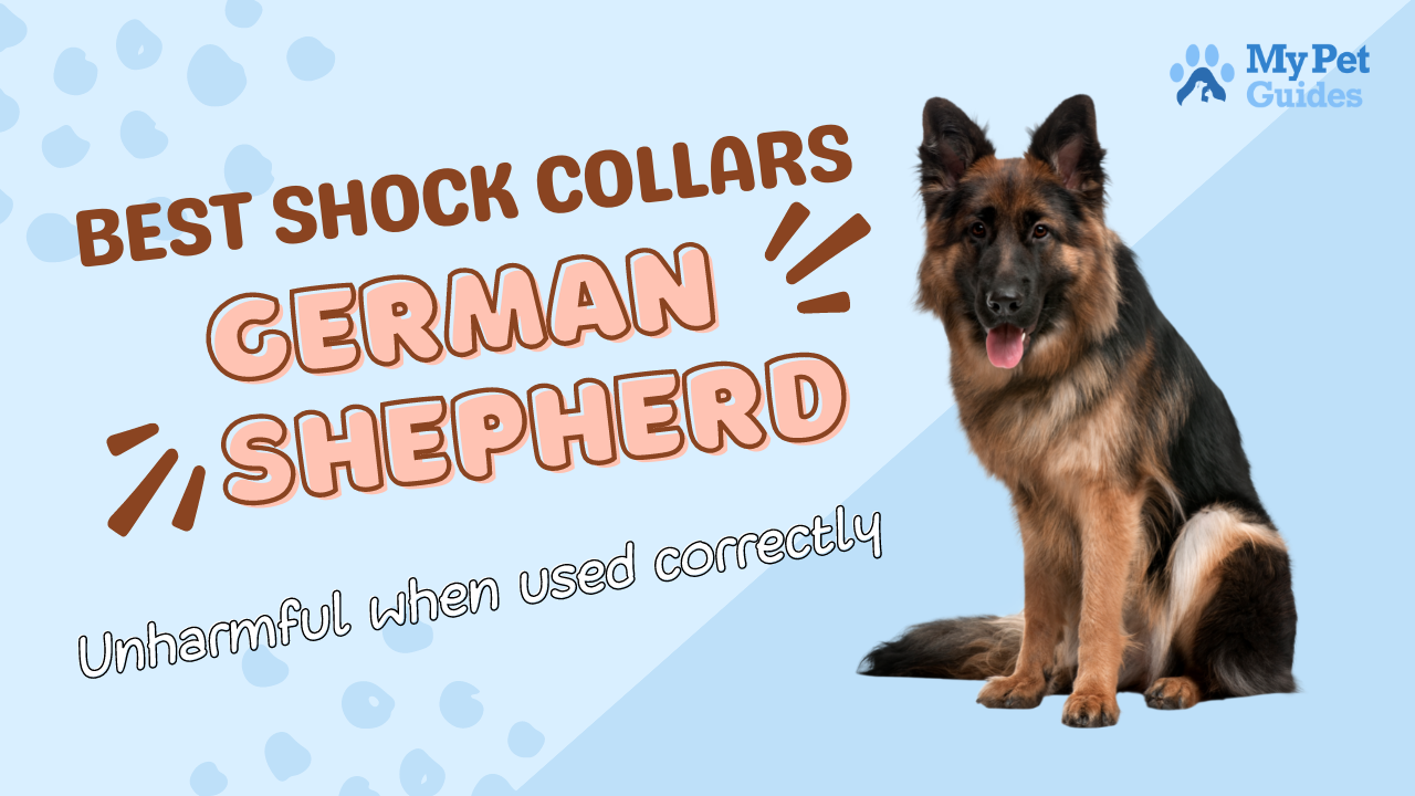 11 Best Shock Collar For German Shepherd | Video Reviews & Buying Guide -  MyPetGuides - Medium