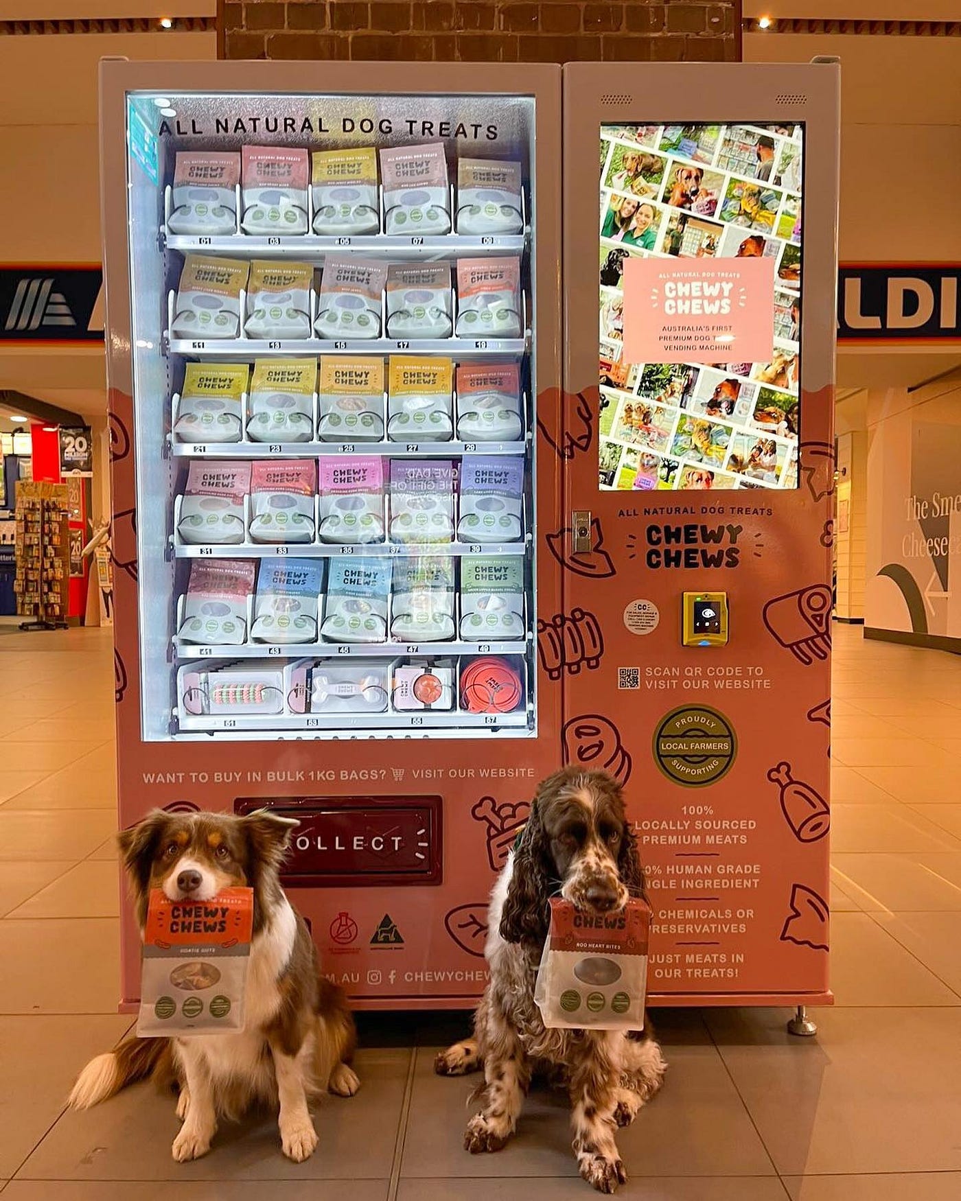 Boost Pet Business with Our Pet Vending Machine — Catering to Pets and  Profits, by Micron Smart Vending