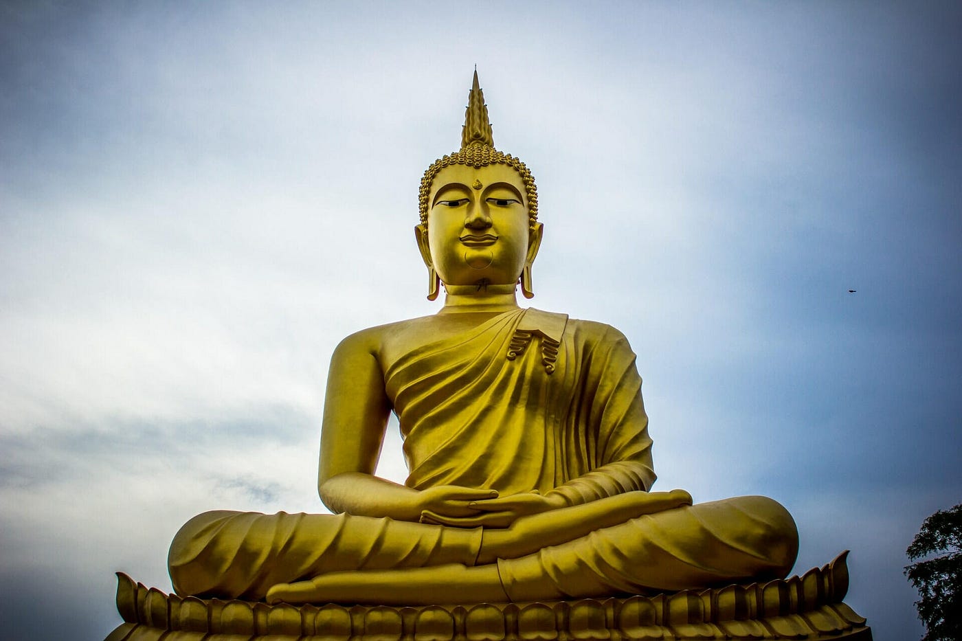 About siddhartha gautama discount