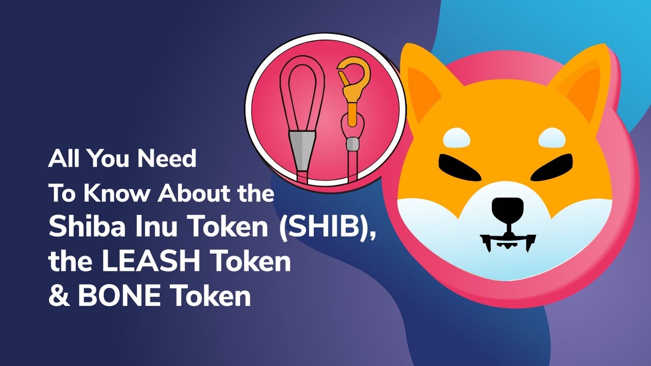 Shibarium: A Layer 2 Solution for Shiba Inu | by Hobie Cunningham |  Blockchain Biz | Medium