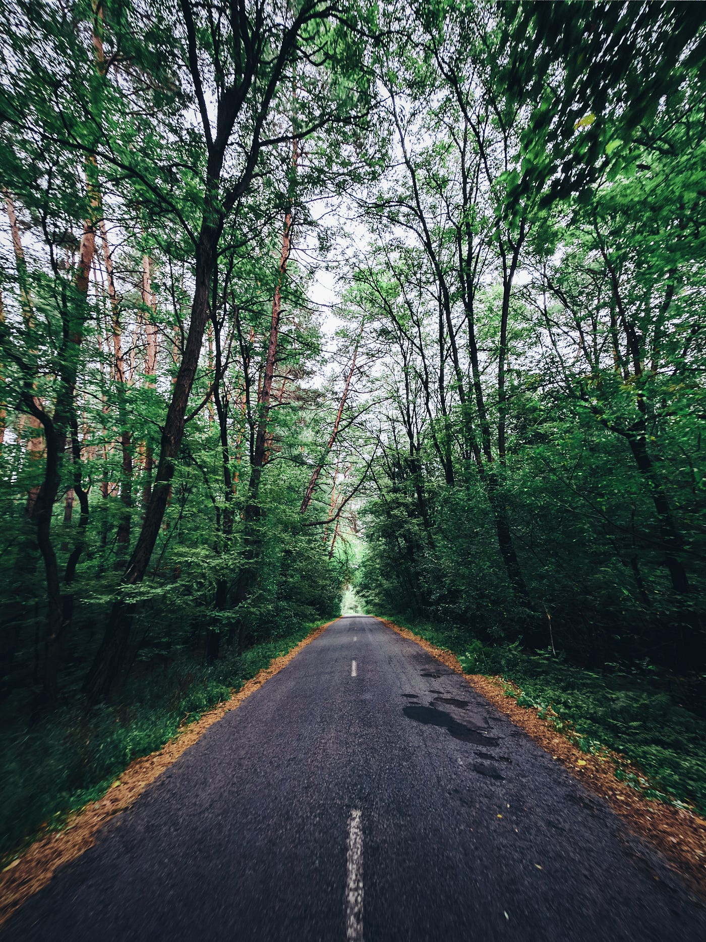 Photo by Vladislav Babienko on Unsplash