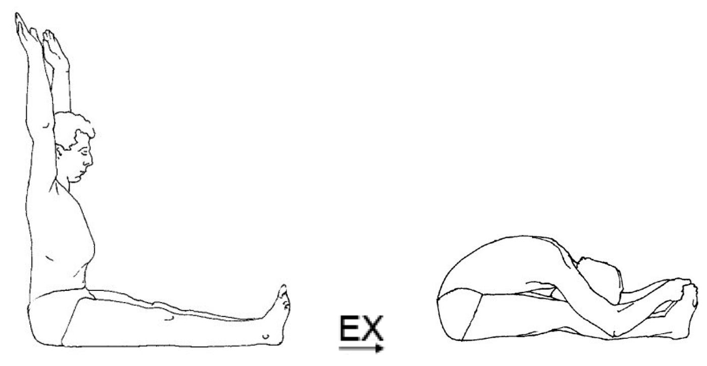 108 Postural Practice Pointers — 14 — Forward Bending and Apāna to Prāṇa Breathing