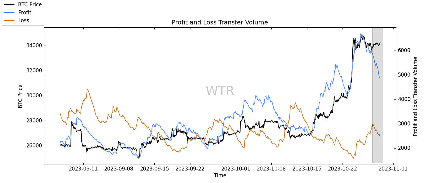 拨雪寻春，烧灯续昼｜WTR 10.30