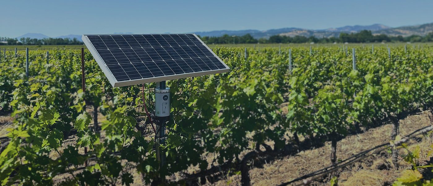 Airborne Crop Disease Detection: The Future of Proactive Farming