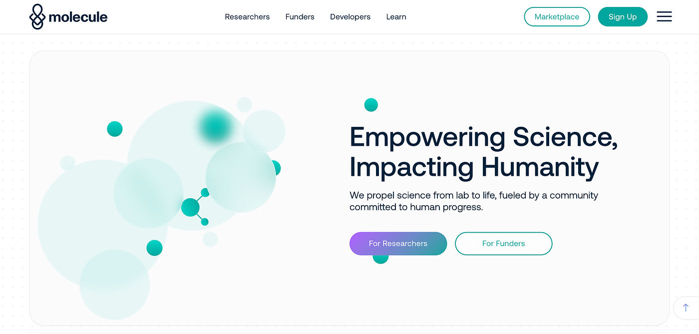 German Crypto Market Report