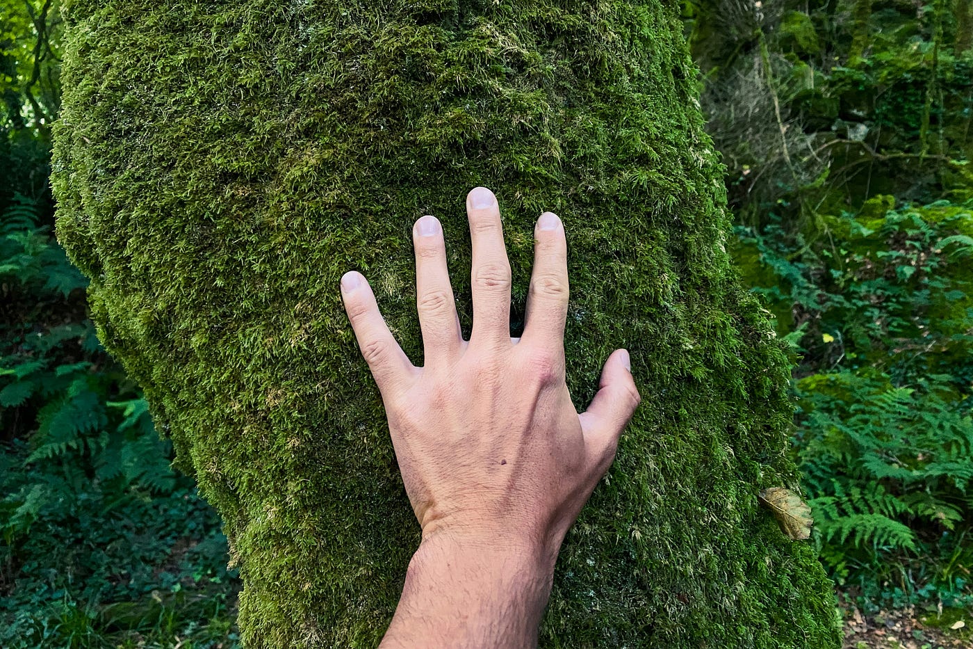 Photo by Max Kukurudziak on Unsplash