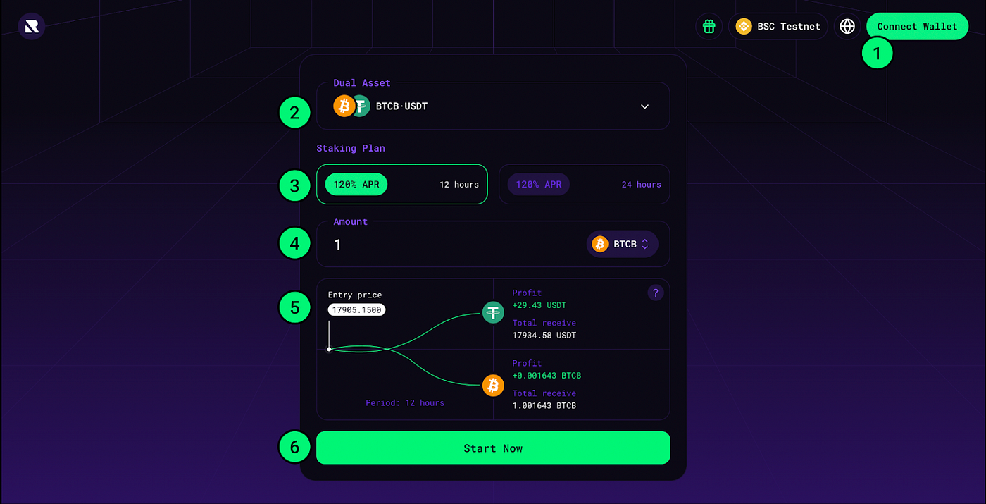 Dual Assets Explained: Earning up to 250% APR In a 12/24 Hour Stake | by  ReHold | Medium