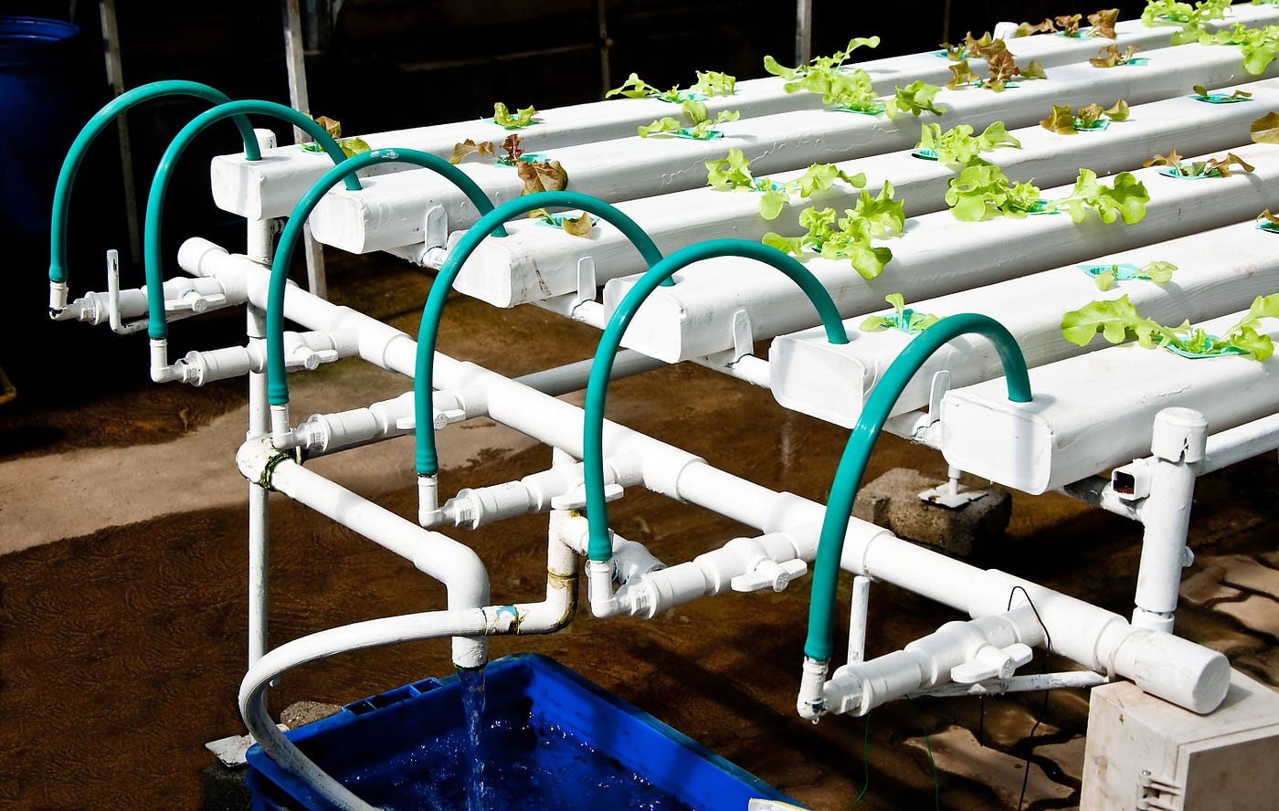 How Hydroponics Equipment Suppliers Are Shaping the Future | by nutriflo  australia | Dec, 2023 | Medium