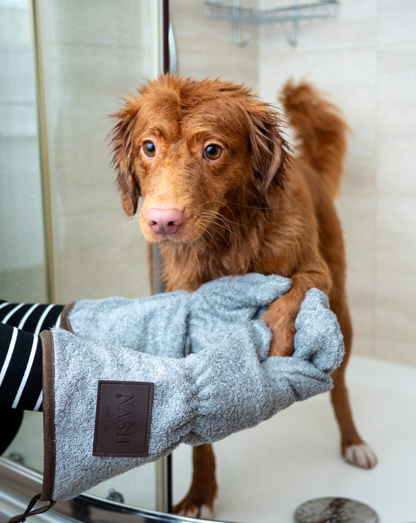 How Much Do Vet Techs Make Per Year: Salary Insights