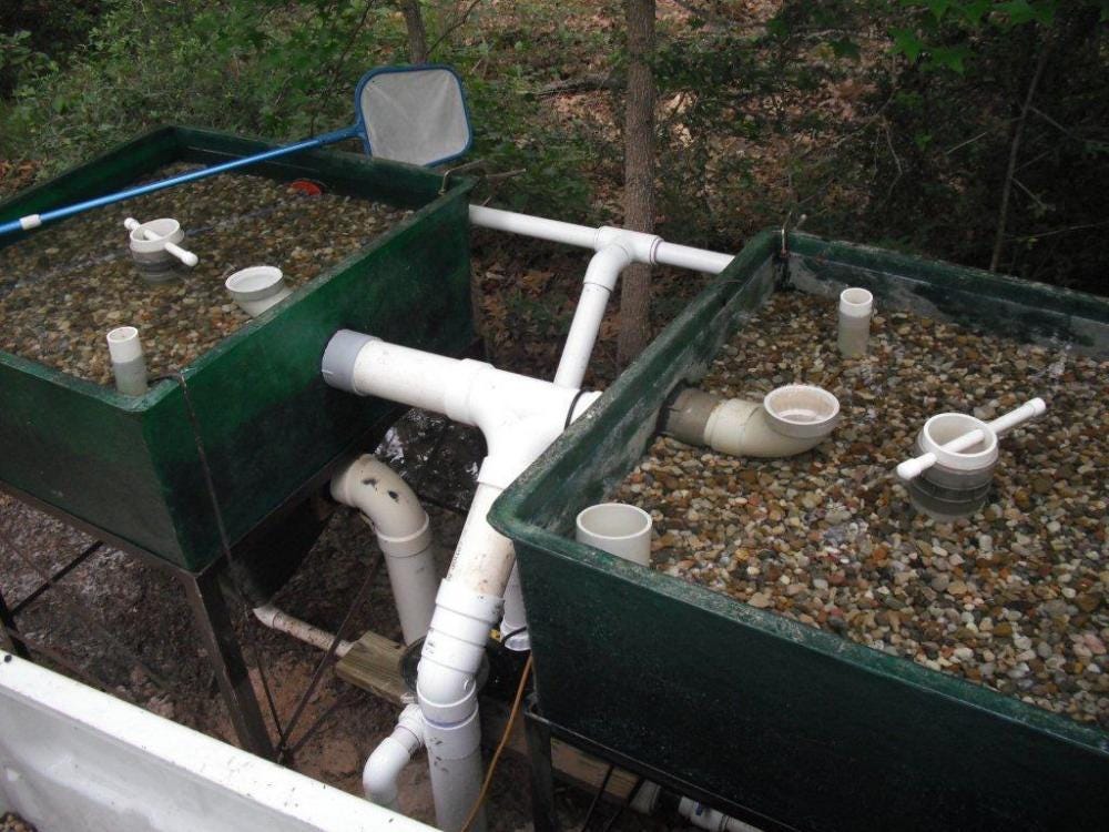 20 DIY Pond Filtration Systems. A pond can be a beautiful addition to… | by  Home Gards | Medium