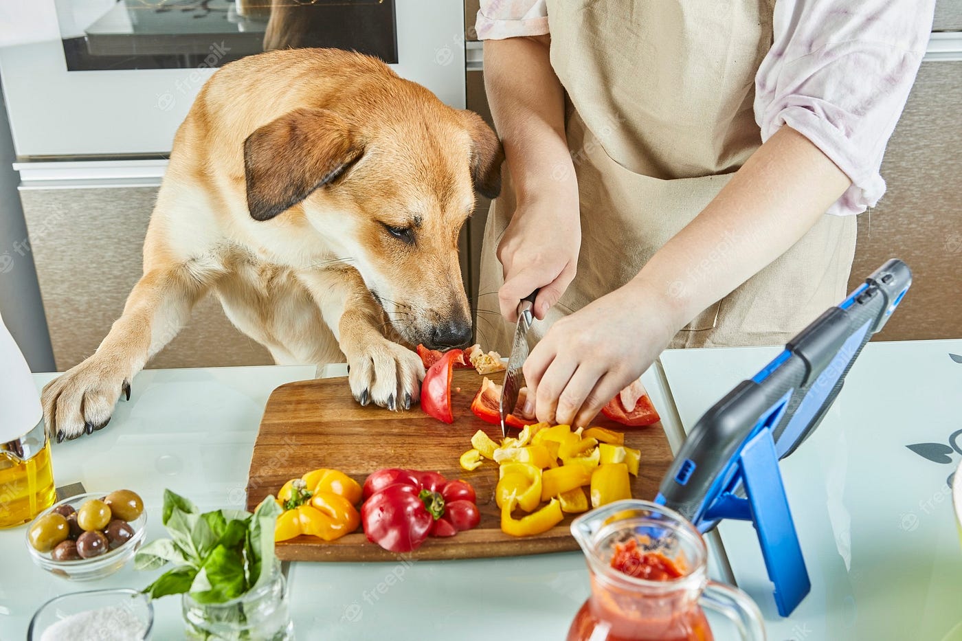 Anti inflammatory dog food recipe best sale