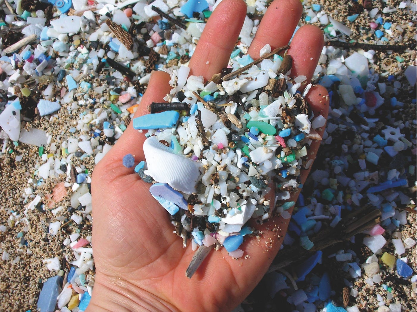 How the Sustainable Development Goals Can Help Fight 'Plastic Soup' | by  Impakter.com | B The Change