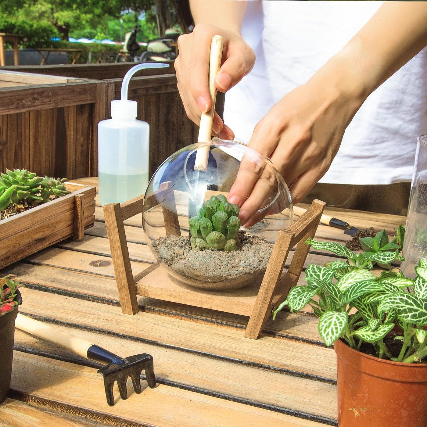 10 inch pots for plants with drainage D'vine Dev