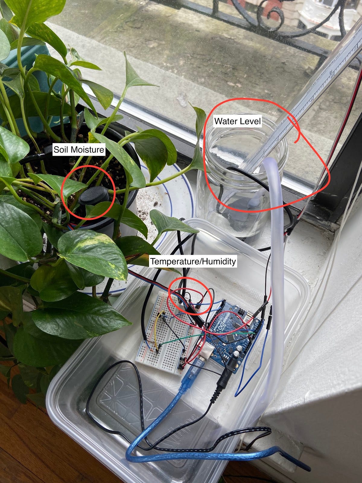 IoT Arduino Plant Watering System | by Jeremy Bohrer | Medium